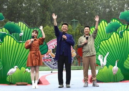 近期饮料爆料案例视频,视频曝光背后的真相与反思